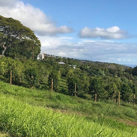 Nohokai At Kona Joe Coffee Farm Hotel Kealakekua Bagian luar foto
