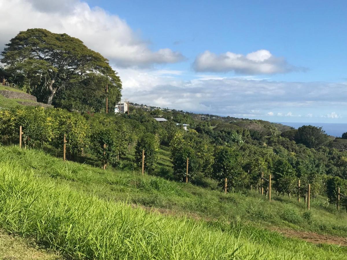 Nohokai At Kona Joe Coffee Farm Hotel Kealakekua Bagian luar foto