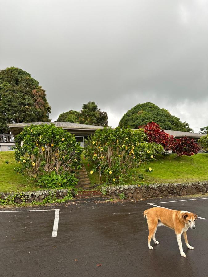 Nohokai At Kona Joe Coffee Farm Hotel Kealakekua Bagian luar foto